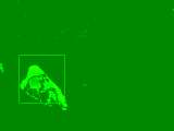 Motion before despeckle